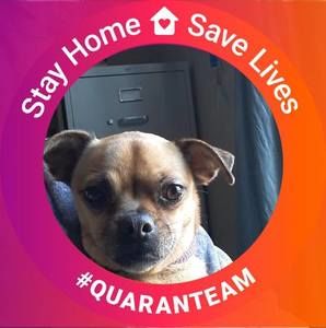 Meet your Posher, Chyrl